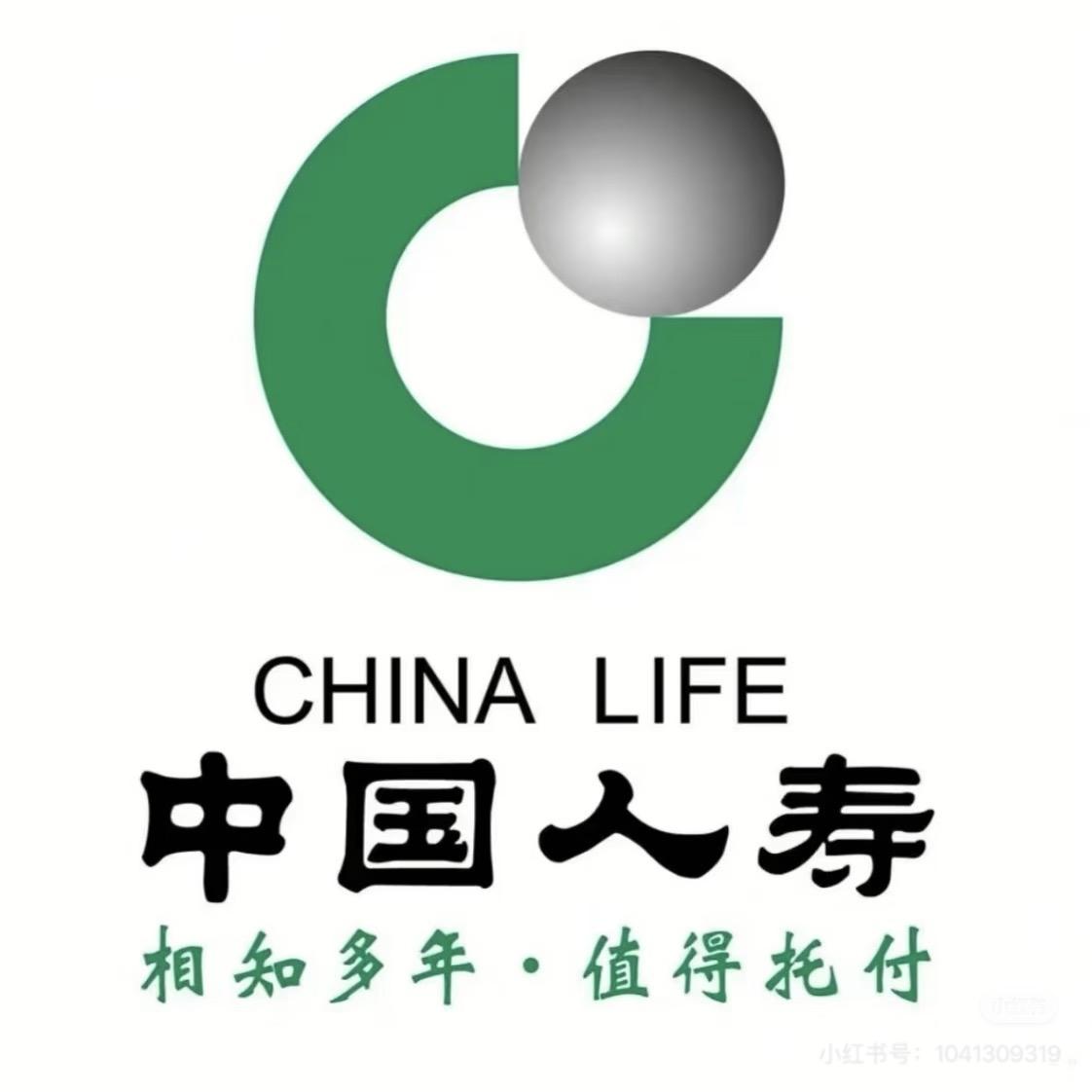 中国人寿保险股份有限公司田东支公司